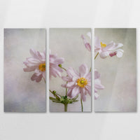 AL-120R080