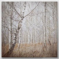 LW-050W050