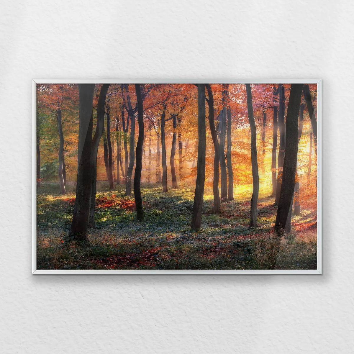 PS-060W040