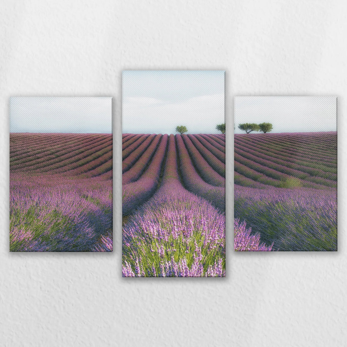LW-120T080