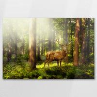 AL-075W050