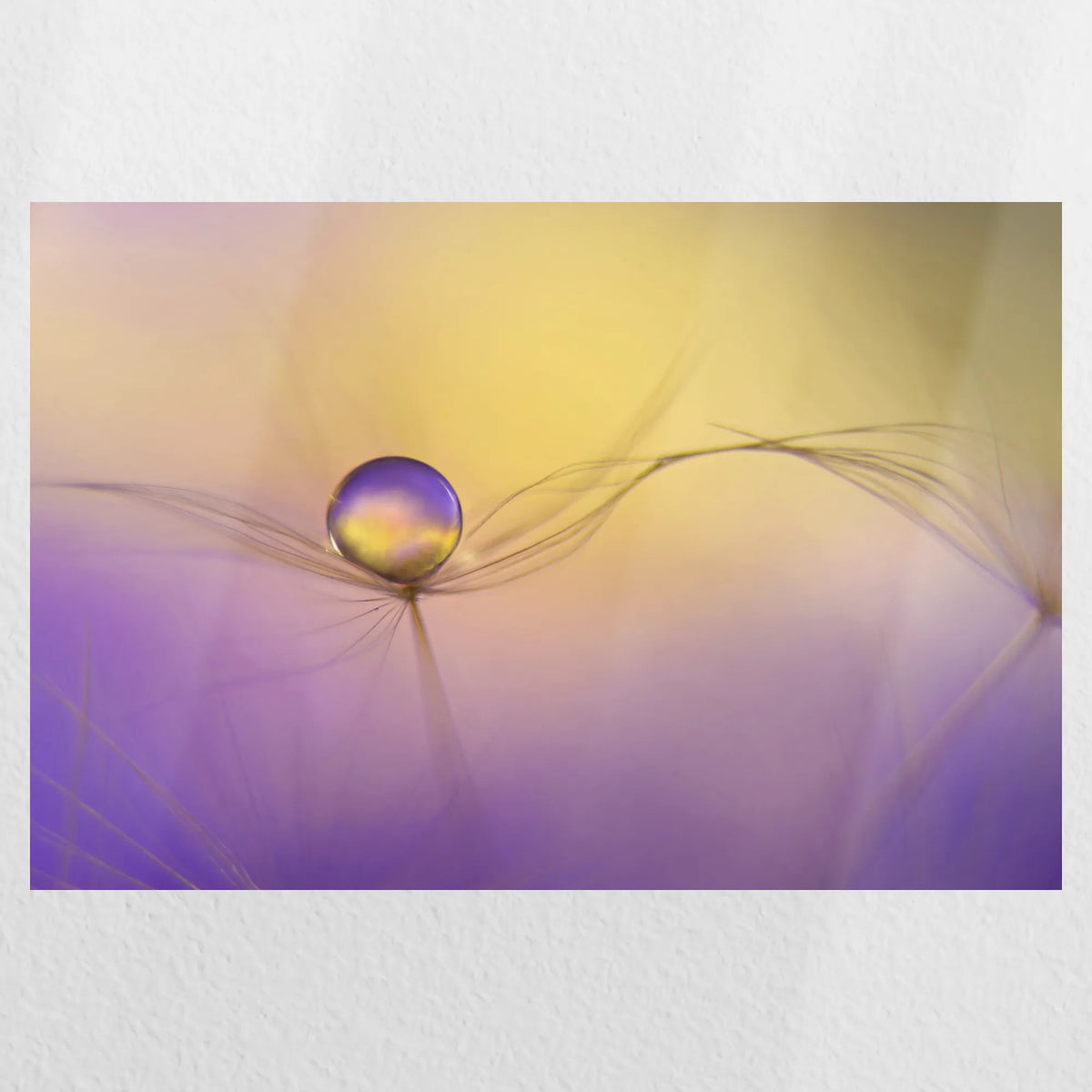 PO-030W020