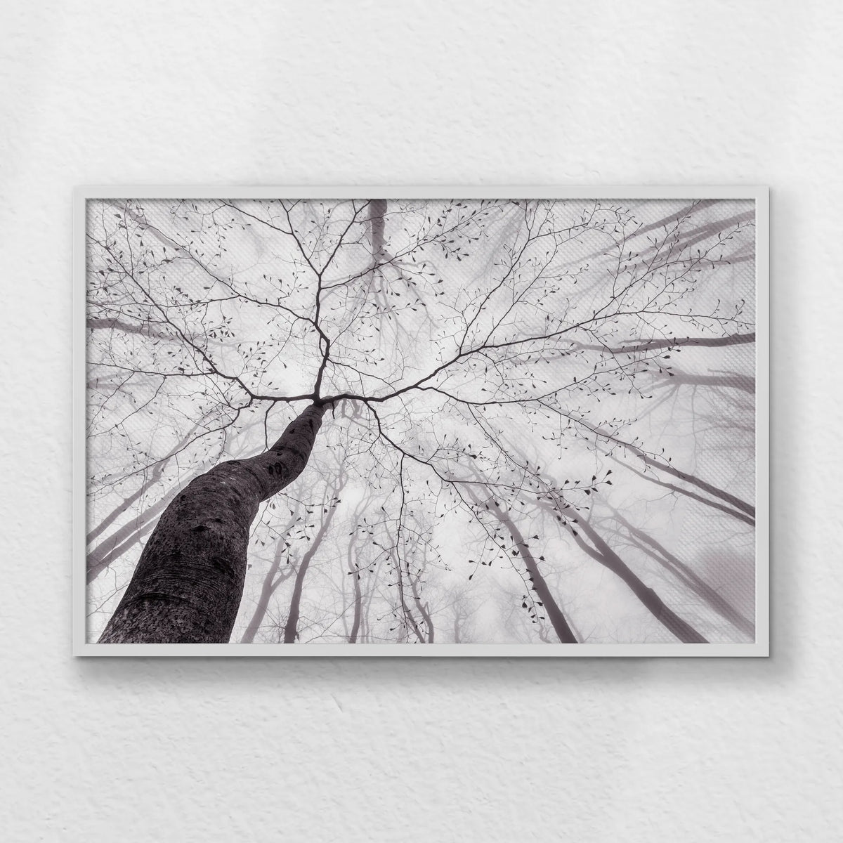 LWW100W070