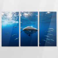 AL-120R080