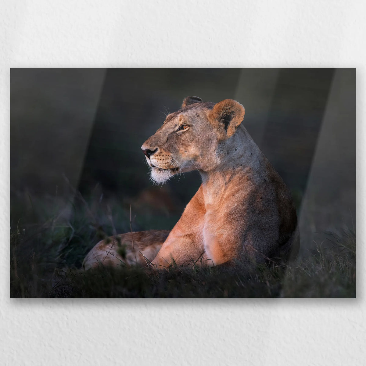 AL-045W030