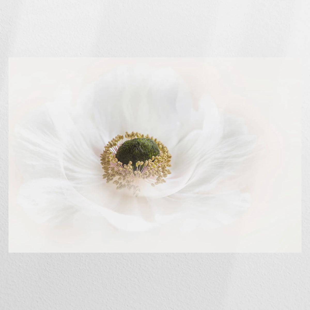 PO-090W060