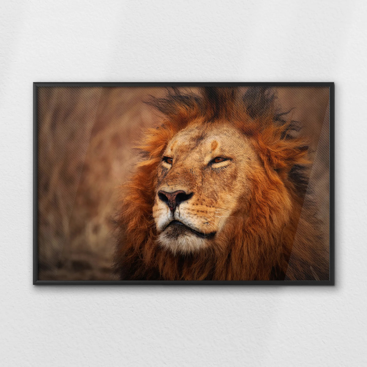 LWB120W080