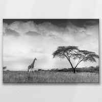 LW-075W050