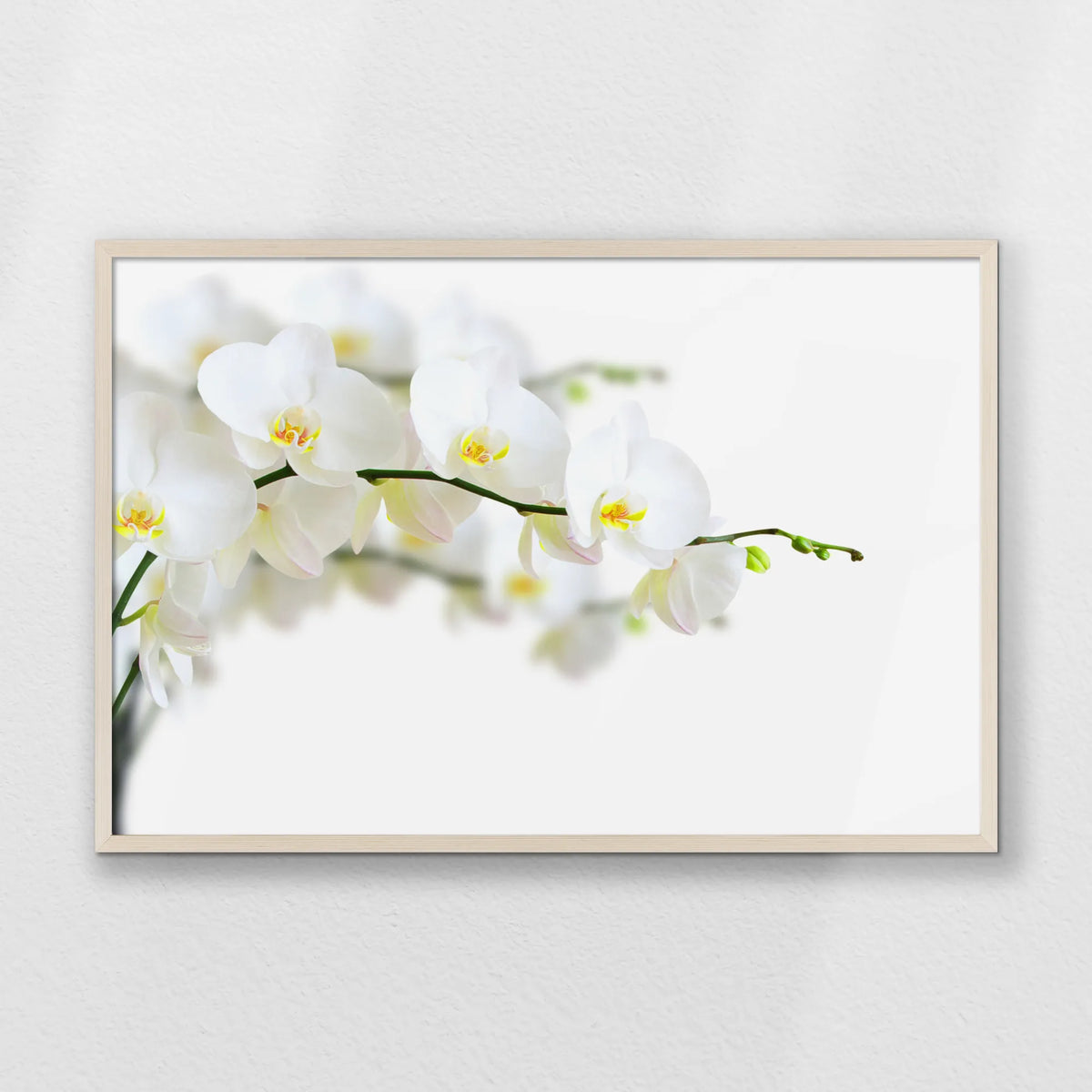 PN-093W062