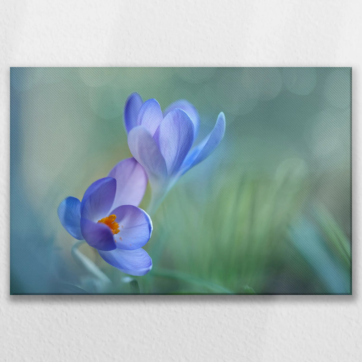 LW-075W050