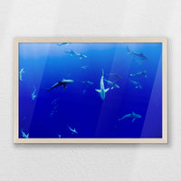 PN-060W040