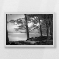 LWW060W040