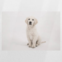 PO-045W030