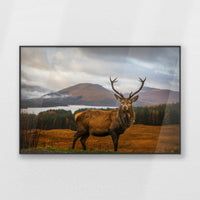 PB-100W070