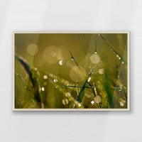 PN-093W062