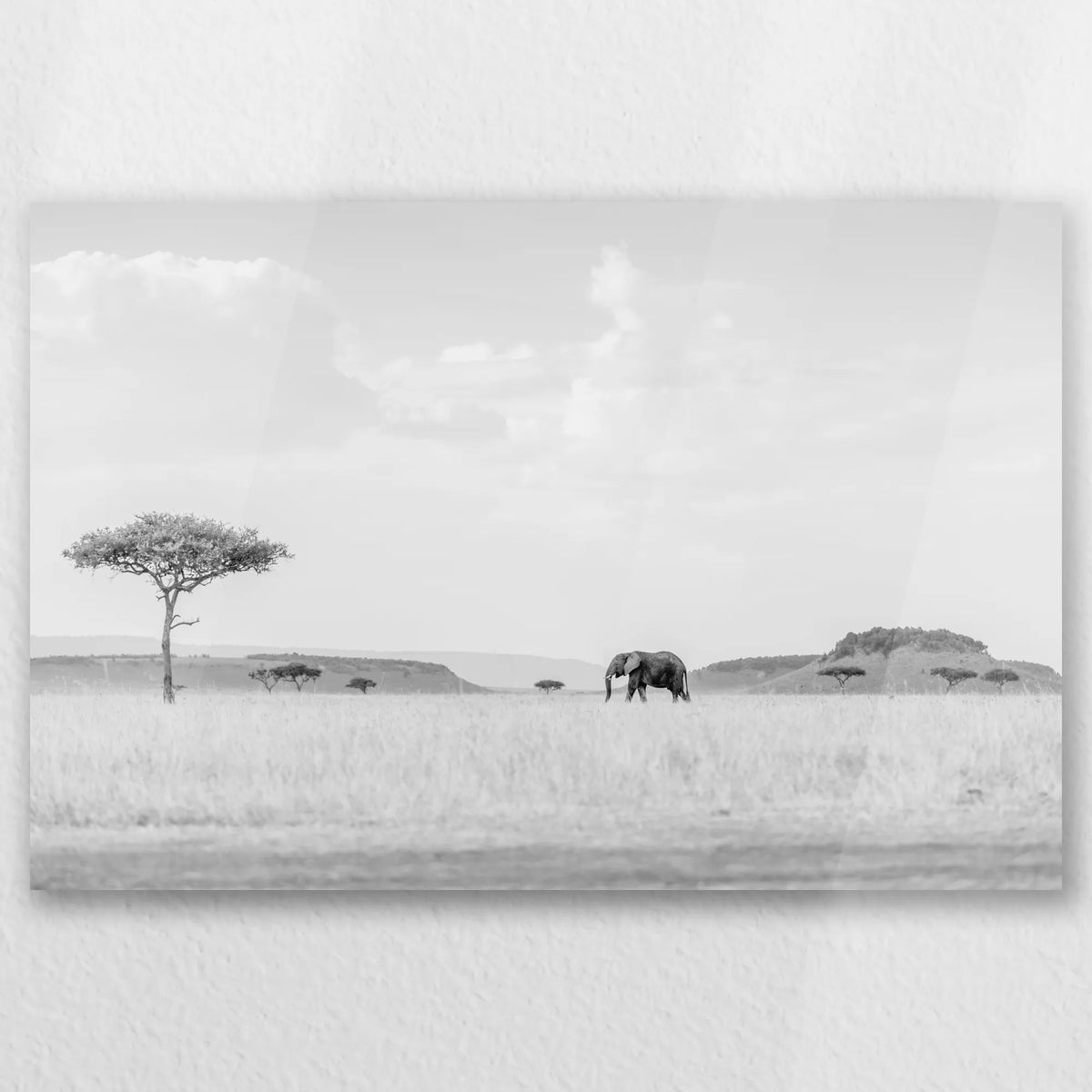 AC-045W030