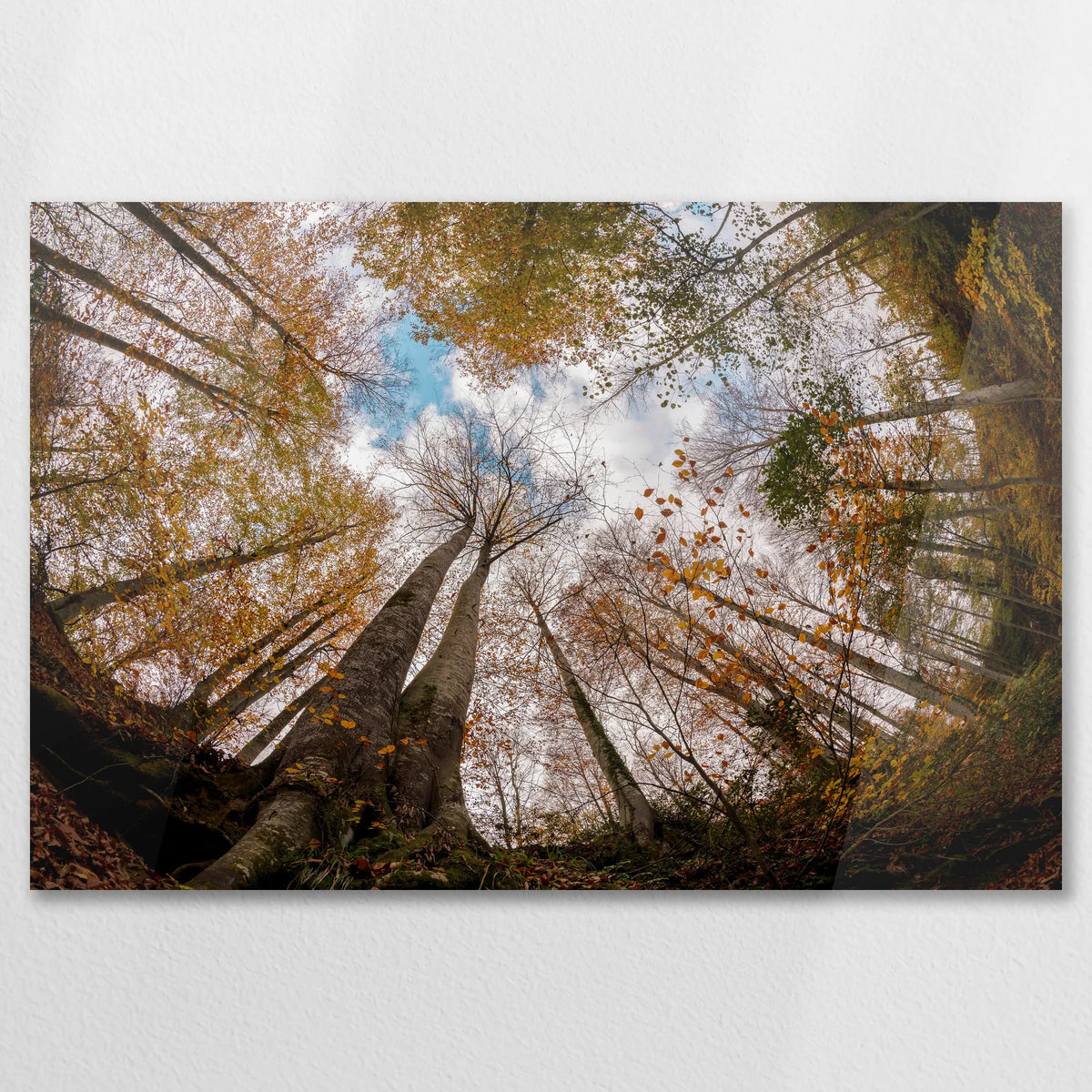 AC-090W060