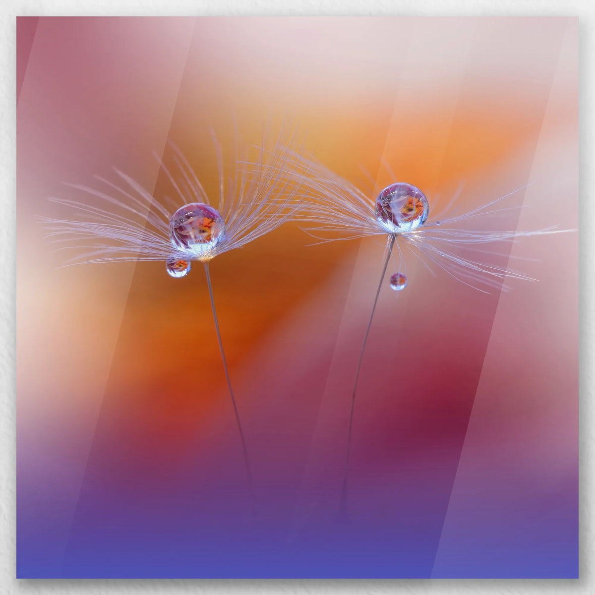 AC-040W040