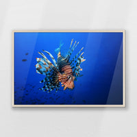 PN-093W062