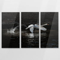 AC-120R080