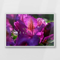PW-093W062