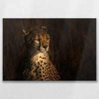 LW-075W050
