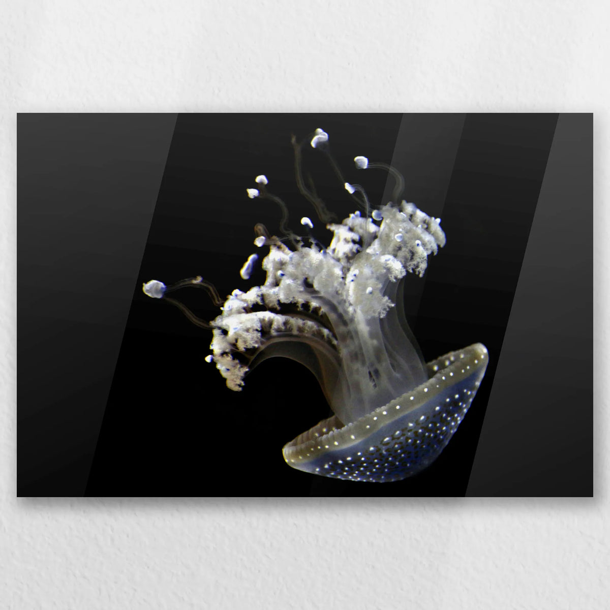 AC-030W020