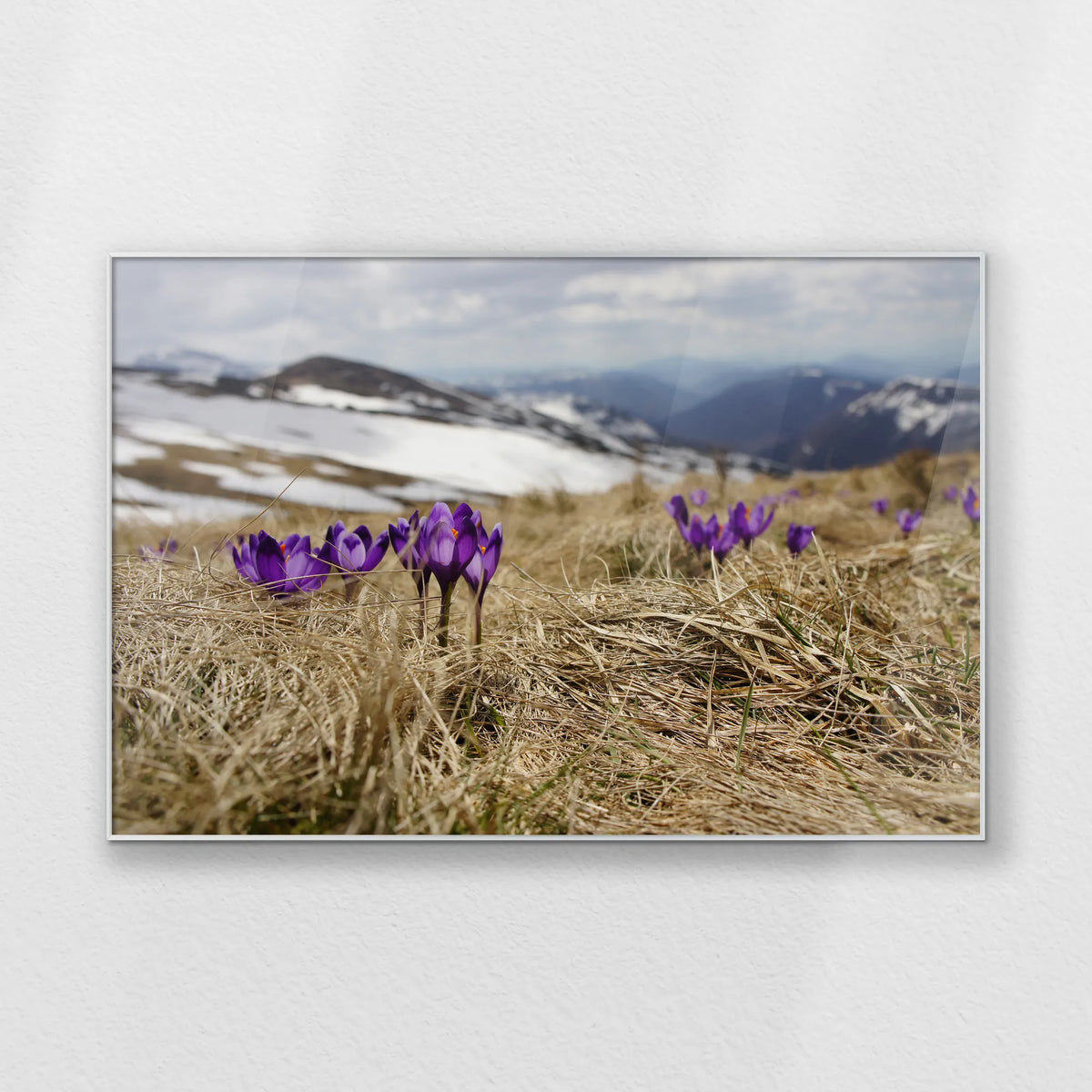 PS-120W080
