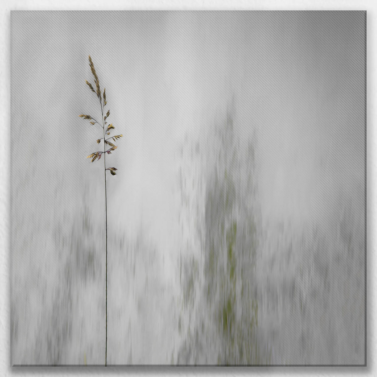 LW-080W080