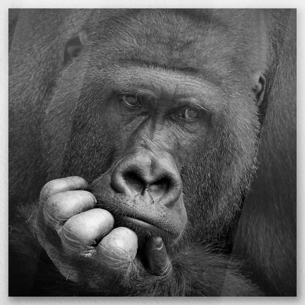 AC-040W040
