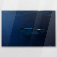 AC-060W040