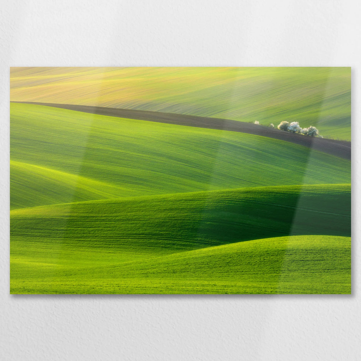 AL-075W050