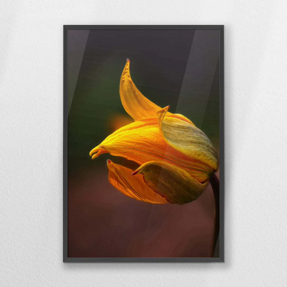 PK-062W093