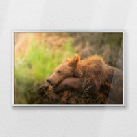 PS-060W040