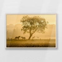 PN-093W062