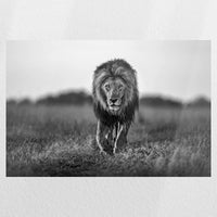 PO-030W020