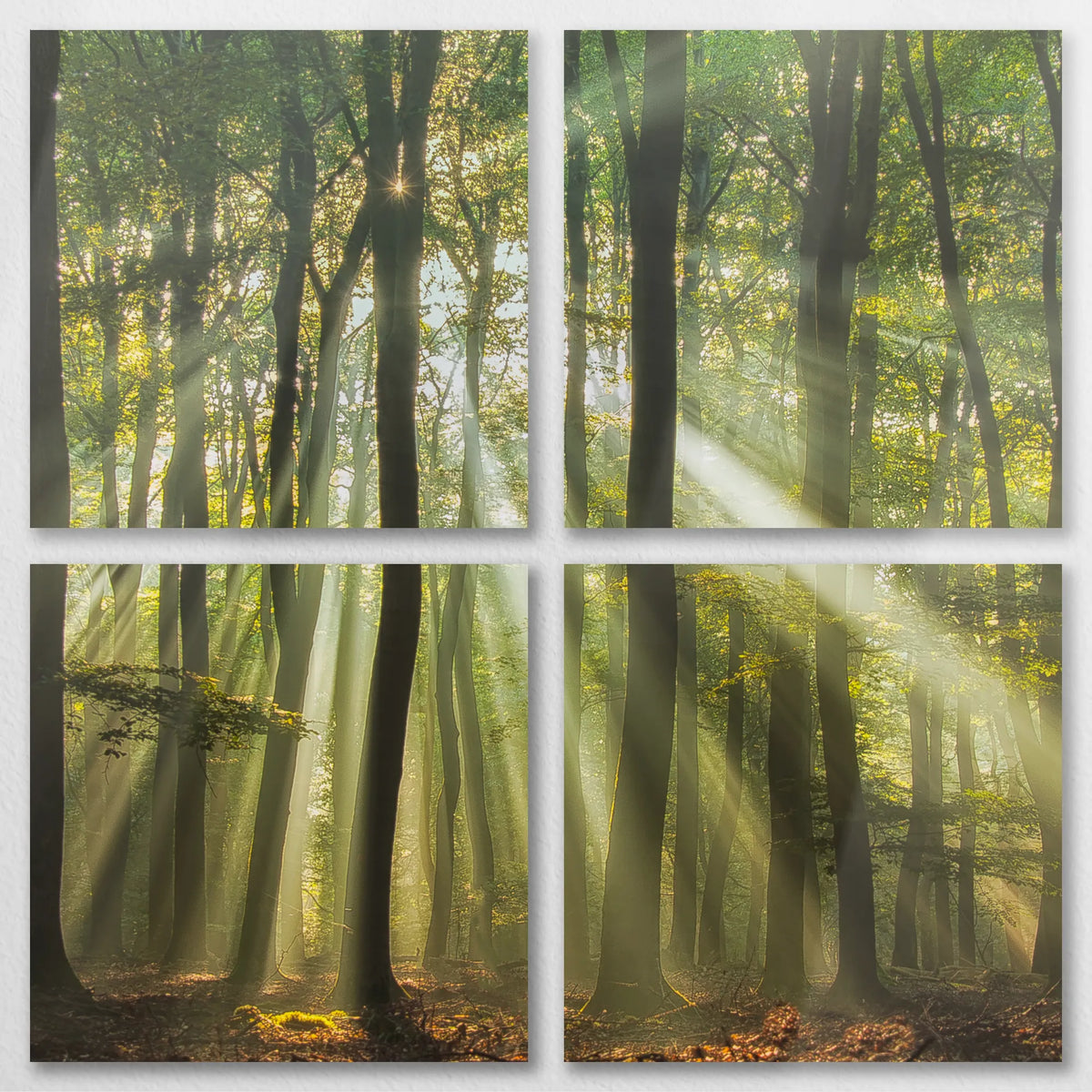 AL-080V080