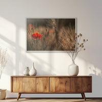 LWW100W070