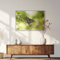 PS-100W070