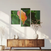 LW-120T080