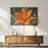 AL-090W060