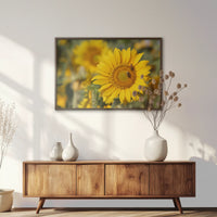LWN100W070