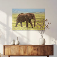 AC-075W050