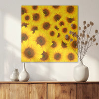 AL-060W060