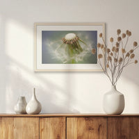 PNP060W040