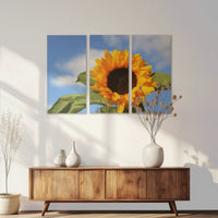 AL-120R080