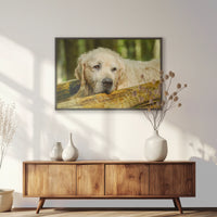 PK-100W070