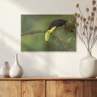 AC-030W020
