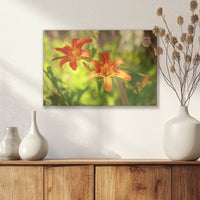 LW-030W020