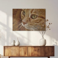 AC-075W050